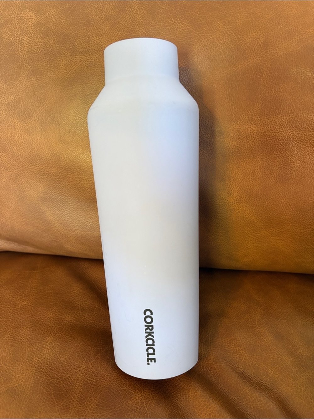 Corkcicle Matte light blueInsulated Water Bottle 20oz
